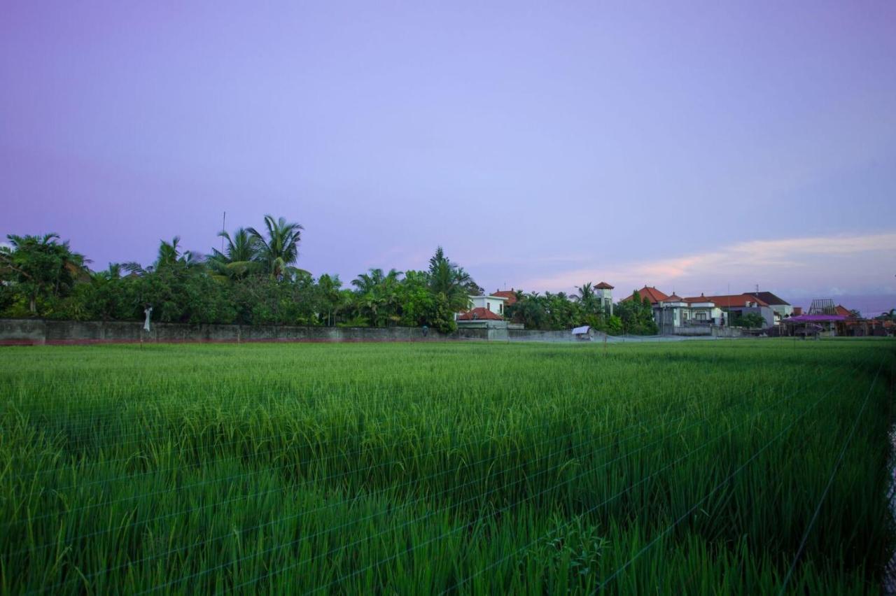The Awandari Villas Seminyak - Chse Certified מראה חיצוני תמונה